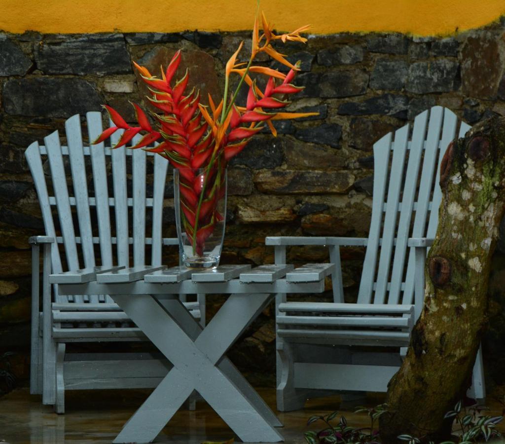 View Guesthouse & Bistro At Goyambokka Tangalle Exterior photo