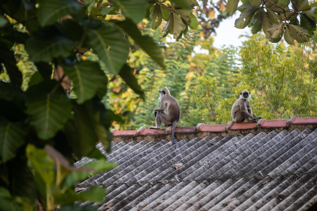 View Guesthouse & Bistro At Goyambokka Tangalle Exterior photo