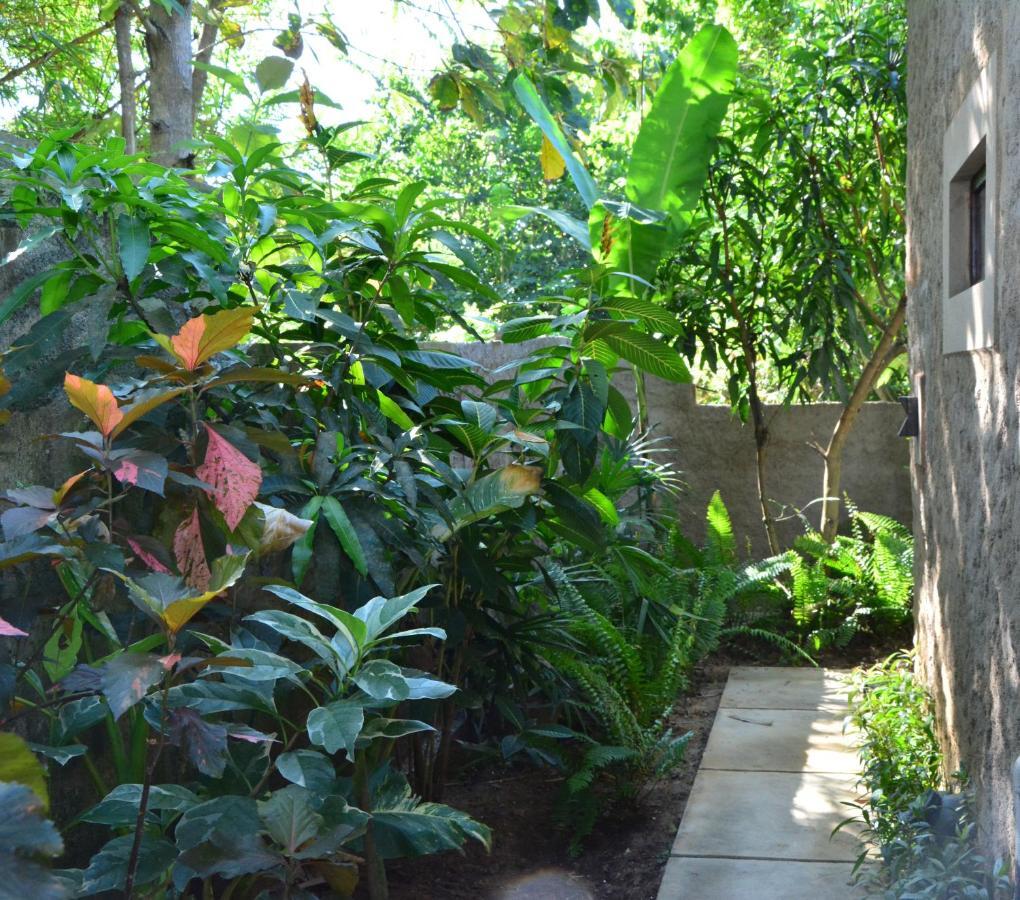 View Guesthouse & Bistro At Goyambokka Tangalle Exterior photo